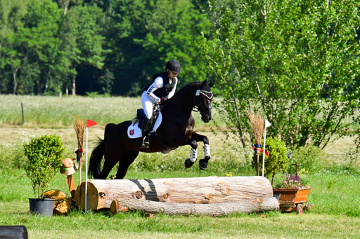 Goldene Schärpe PFerde  in Löningen  11+12.6.22 | 11062022 - Gelände 1 Abt_0235 