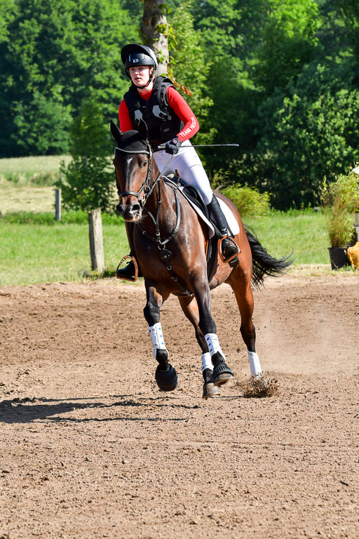 Goldene Schärpe PFerde  in Löningen  11+12.6.22 | 11062022 - Gelände 1 Abt_0255 