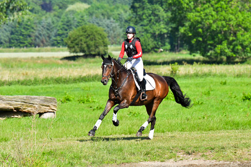 Goldene Schärpe PFerde  in Löningen  11+12.6.22 | 11062022 - Gelände 1 Abt_0274 