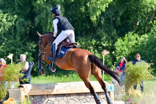 Goldene Schärpe PFerde  in Löningen  11+12.6.22 | 11062022 - Gelände 1 Abt_0307 