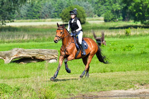 Goldene Schärpe PFerde  in Löningen  11+12.6.22 | 11062022 - Gelände 1 Abt_0319 