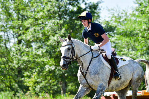 Goldene Schärpe PFerde  in Löningen  11+12.6.22 | 11062022 - Gelände 1 Abt_0339 