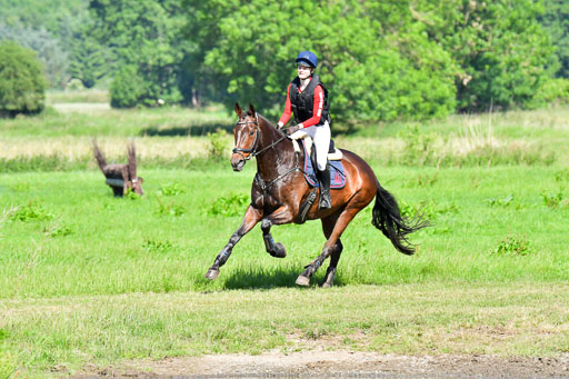 Goldene Schärpe PFerde  in Löningen  11+12.6.22 | 11062022 - Gelände 1 Abt_0365 