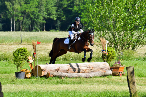 Goldene Schärpe PFerde  in Löningen  11+12.6.22 | 11062022 - Gelände 1 Abt_0374 