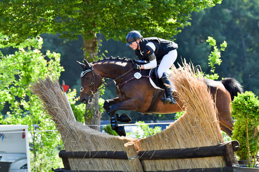 Goldene Schärpe PFerde  in Löningen  11+12.6.22 | 11062022 - Gelände 1 Abt_0401 