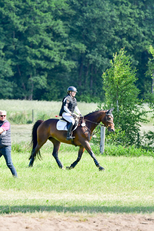 Goldene Schärpe PFerde  in Löningen  11+12.6.22 | 11062022 - Gelände 1 Abt_0404 