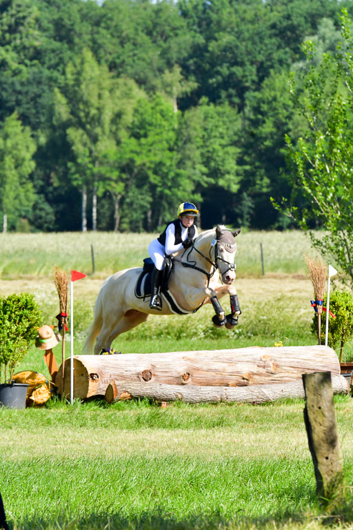 Goldene Schärpe PFerde  in Löningen  11+12.6.22 | 11062022 - Gelände 1 Abt_0405 