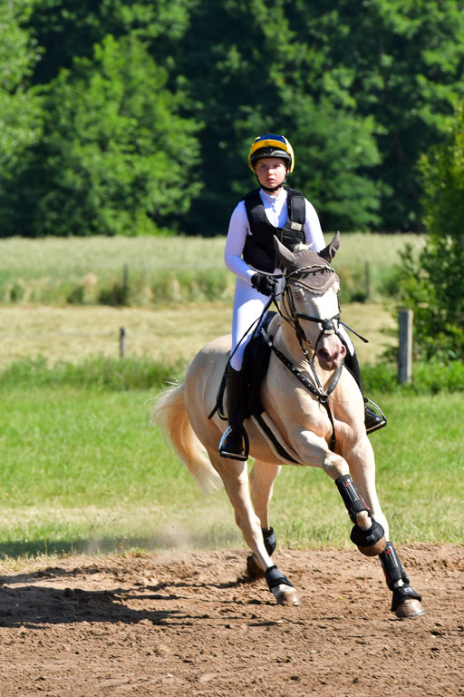 Goldene Schärpe PFerde  in Löningen  11+12.6.22 | 11062022 - Gelände 1 Abt_0406 