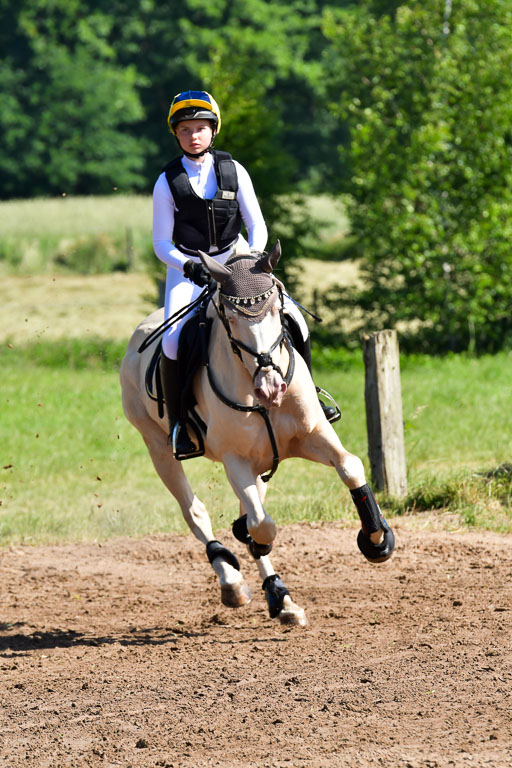 Goldene Schärpe PFerde  in Löningen  11+12.6.22 | 11062022 - Gelände 1 Abt_0407 