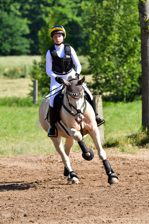 Goldene Schärpe PFerde  in Löningen  11+12.6.22 | 11062022 - Gelände 1 Abt_0408 
