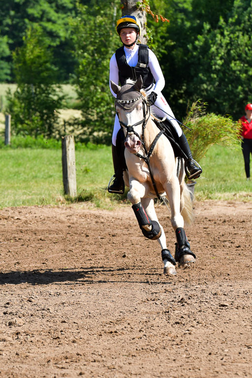 Goldene Schärpe PFerde  in Löningen  11+12.6.22 | 11062022 - Gelände 1 Abt_0409 