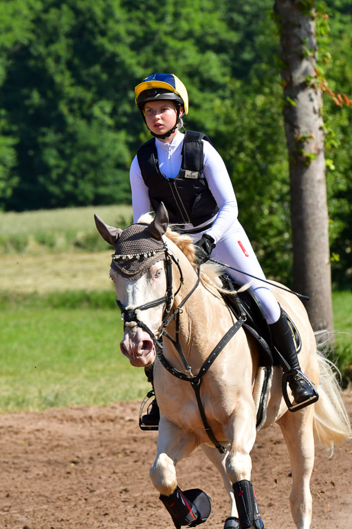 Goldene Schärpe PFerde  in Löningen  11+12.6.22 | 11062022 - Gelände 1 Abt_0410 