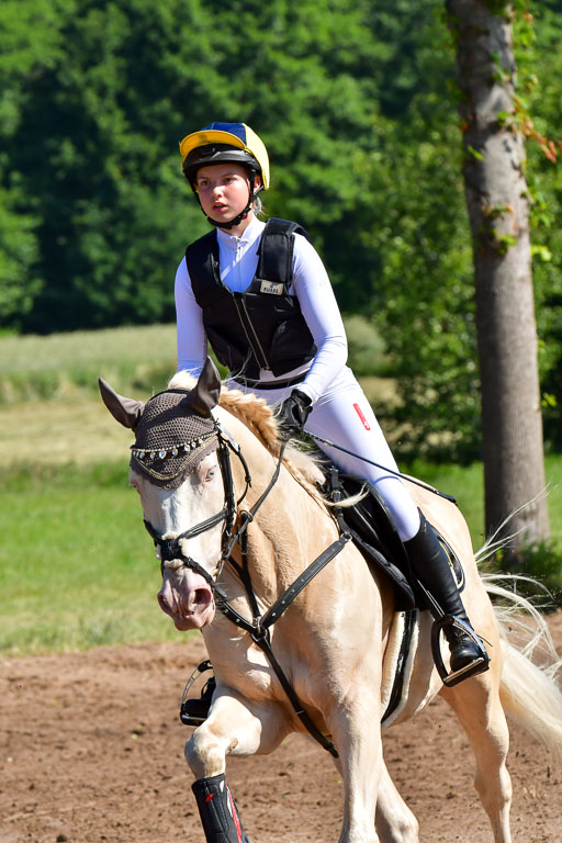 Goldene Schärpe PFerde  in Löningen  11+12.6.22 | 11062022 - Gelände 1 Abt_0411 