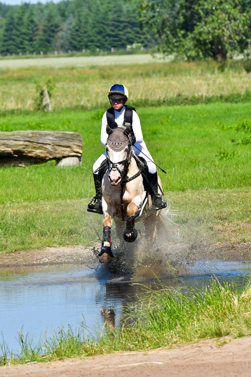 Goldene Schärpe PFerde  in Löningen  11+12.6.22 | 11062022 - Gelände 1 Abt_0415 