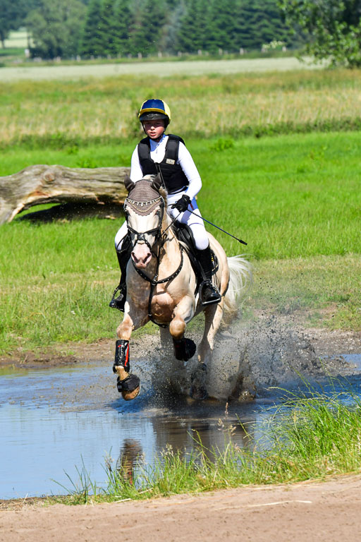 Goldene Schärpe PFerde  in Löningen  11+12.6.22 | 11062022 - Gelände 1 Abt_0416 