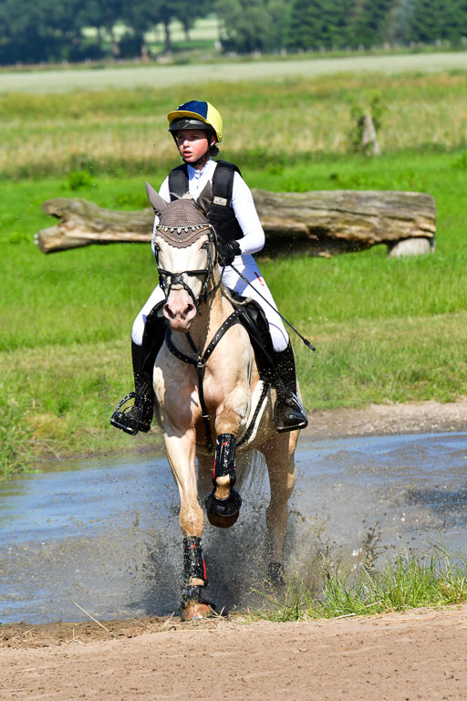 Goldene Schärpe PFerde  in Löningen  11+12.6.22 | 11062022 - Gelände 1 Abt_0421 