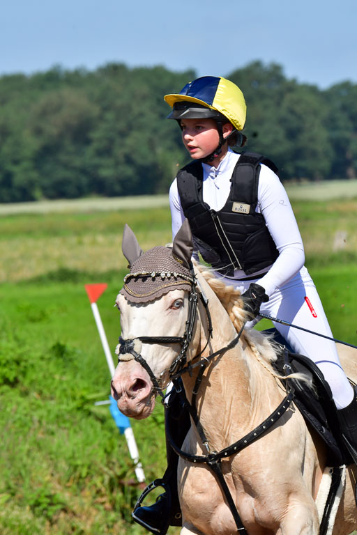 Goldene Schärpe PFerde  in Löningen  11+12.6.22 | 11062022 - Gelände 1 Abt_0425 