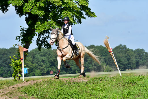 Goldene Schärpe PFerde  in Löningen  11+12.6.22 | 11062022 - Gelände 1 Abt_0430 