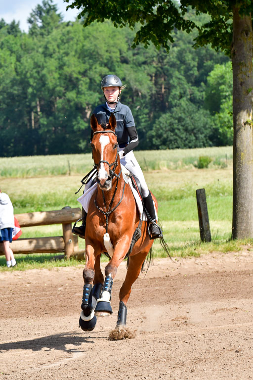 Goldene Schärpe PFerde  in Löningen  11+12.6.22 | 11062022 - Gelände 1 Abt_0434 