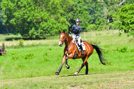 Goldene Schärpe PFerde  in Löningen  11+12.6.22 | 11062022 - Gelände 1 Abt_0449 