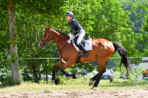 Goldene Schärpe PFerde  in Löningen  11+12.6.22 | 11062022 - Gelände 1 Abt_0455 