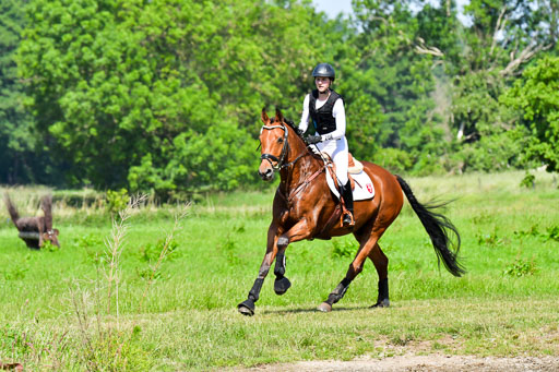 Goldene Schärpe PFerde  in Löningen  11+12.6.22 | 11062022 - Gelände 1 Abt_0475 