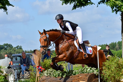 Goldene Schärpe PFerde  in Löningen  11+12.6.22 | 11062022 - Gelände 1 Abt_0477 