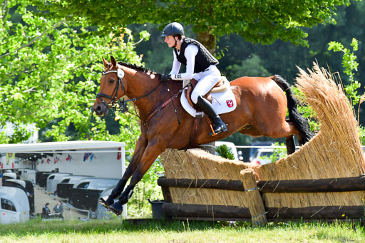 Goldene Schärpe PFerde  in Löningen  11+12.6.22 | 11062022 - Gelände 1 Abt_0480 