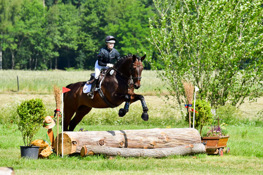 Goldene Schärpe PFerde  in Löningen  11+12.6.22 | 11062022 - Gelände 1 Abt_0482 