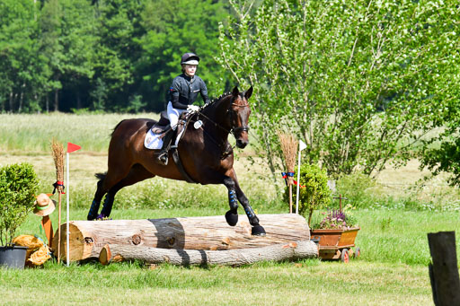 Goldene Schärpe PFerde  in Löningen  11+12.6.22 | 11062022 - Gelände 1 Abt_0483 