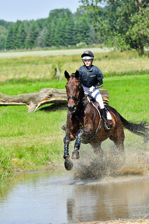 Goldene Schärpe PFerde  in Löningen  11+12.6.22 | 11062022 - Gelände 1 Abt_0490 