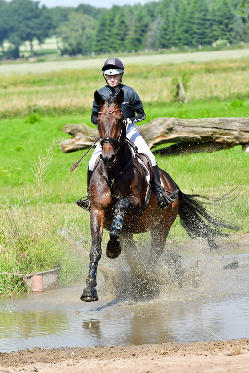 Goldene Schärpe PFerde  in Löningen  11+12.6.22 | 11062022 - Gelände 1 Abt_0493 