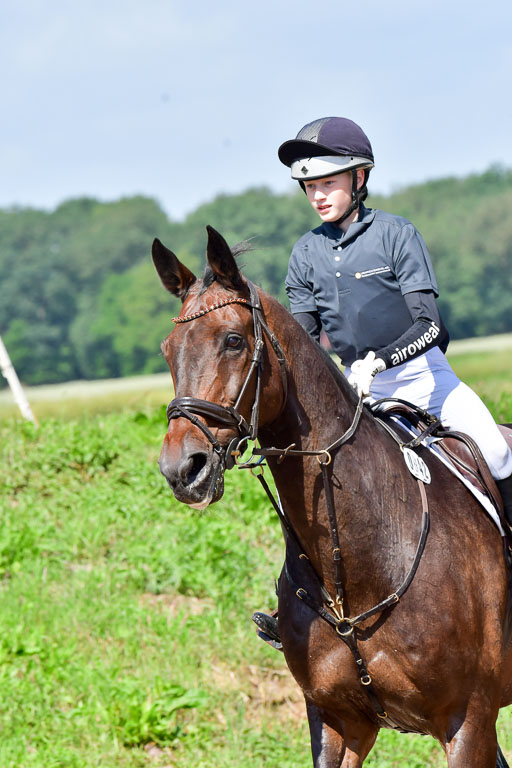 Goldene Schärpe PFerde  in Löningen  11+12.6.22 | 11062022 - Gelände 1 Abt_0494 