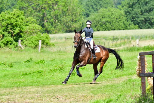 Goldene Schärpe PFerde  in Löningen  11+12.6.22 | 11062022 - Gelände 1 Abt_0498 