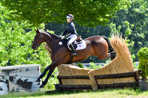 Goldene Schärpe PFerde  in Löningen  11+12.6.22 | 11062022 - Gelände 1 Abt_0502 
