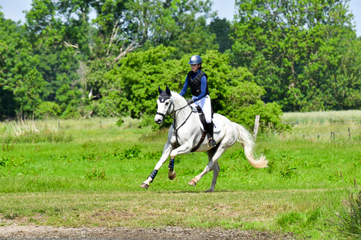 Goldene Schärpe PFerde  in Löningen  11+12.6.22 | 11062022 - Gelände 1 Abt_0520 