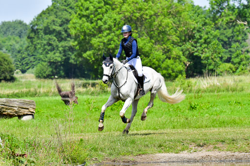 Goldene Schärpe Pferde  in Löningen  11+12.6.22 | 11062022 - Gelände 1 Abt_0521 