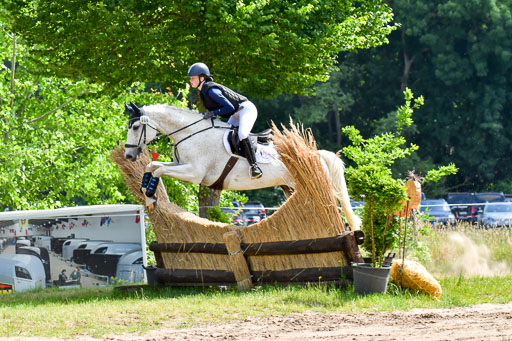 Goldene Schärpe Pferde  in Löningen  11+12.6.22 | 11062022 - Gelände 1 Abt_0527 