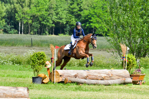 Goldene Schärpe Pferde  in Löningen  11+12.6.22 | 11062022 - Gelände 1 Abt_0534 
