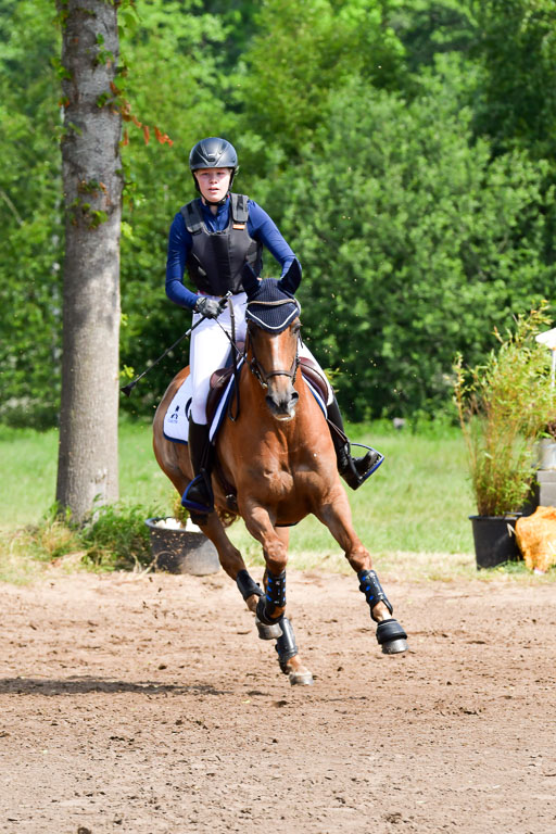 Goldene Schärpe Pferde  in Löningen  11+12.6.22 | 11062022 - Gelände 1 Abt_0535 