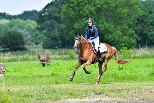 Goldene Schärpe Pferde  in Löningen  11+12.6.22 | 11062022 - Gelände 1 Abt_0546 