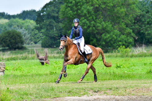 Goldene Schärpe Pferde  in Löningen  11+12.6.22 | 11062022 - Gelände 1 Abt_0547 
