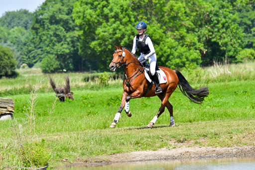 Goldene Schärpe Pferde  in Löningen  11+12.6.22 | 11062022 - Gelände 1 Abt_0572 