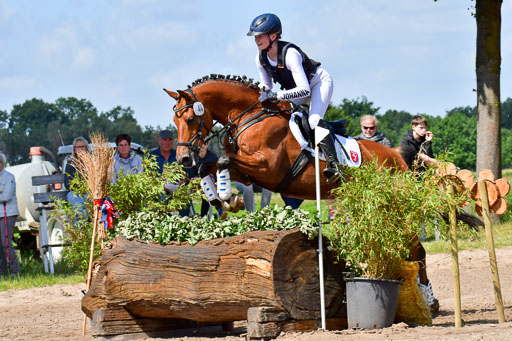 Goldene Schärpe Pferde  in Löningen  11+12.6.22 | 11062022 - Gelände 1 Abt_0574 