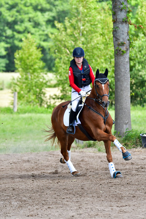 Goldene Schärpe Pferde  in Löningen  11+12.6.22 | 11062022 - Gelände 1 Abt_0626 