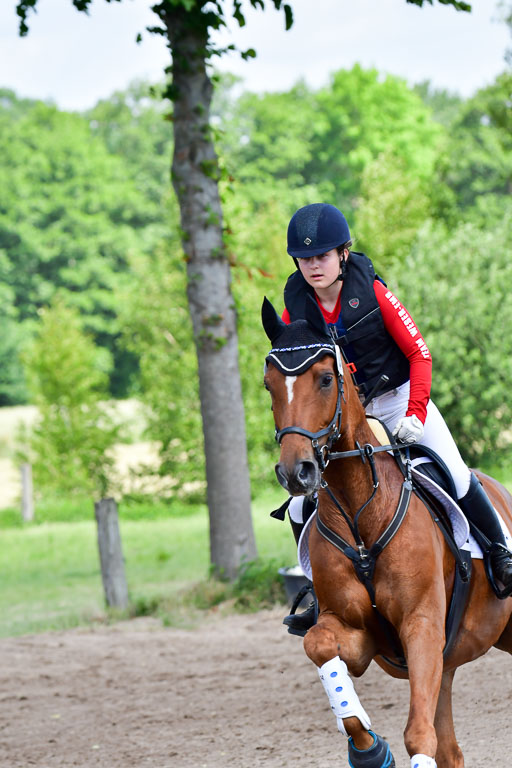 Goldene Schärpe Pferde  in Löningen  11+12.6.22 | 11062022 - Gelände 1 Abt_0629 
