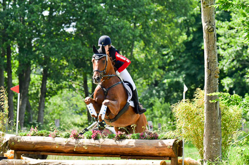 Goldene Schärpe Pferde  in Löningen  11+12.6.22 | 11062022 - Gelände 1 Abt_0641 