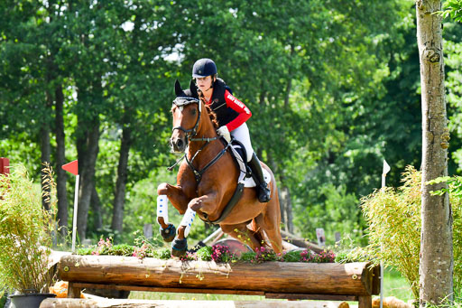 Goldene Schärpe Pferde  in Löningen  11+12.6.22 | 11062022 - Gelände 1 Abt_0642 