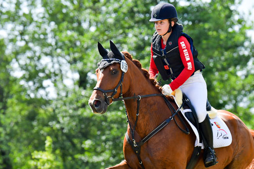Goldene Schärpe Pferde  in Löningen  11+12.6.22 | 11062022 - Gelände 1 Abt_0644 
