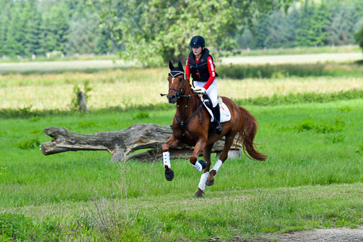 Goldene Schärpe Pferde  in Löningen  11+12.6.22 | 11062022 - Gelände 1 Abt_0645 